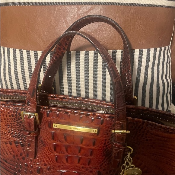 Brahmin Mini Asher - Picture 10 of 14